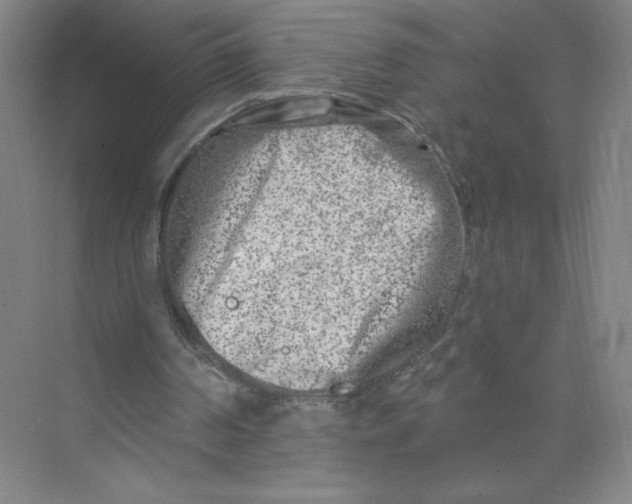 X0000074260194200609222200