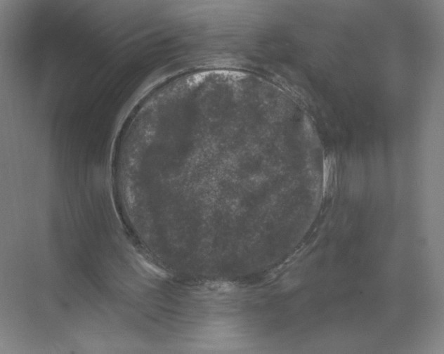 X0000074260195200609222159