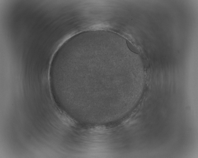 X0000074260196200609222159