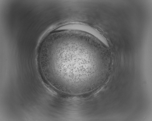 X0000074260197200609222159