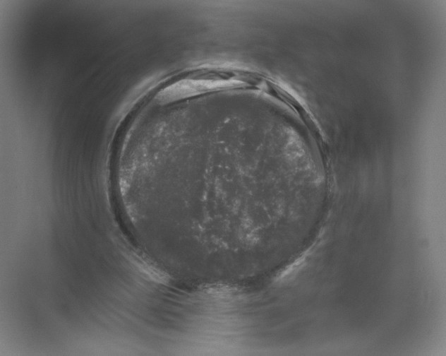 X0000074260199200609222159