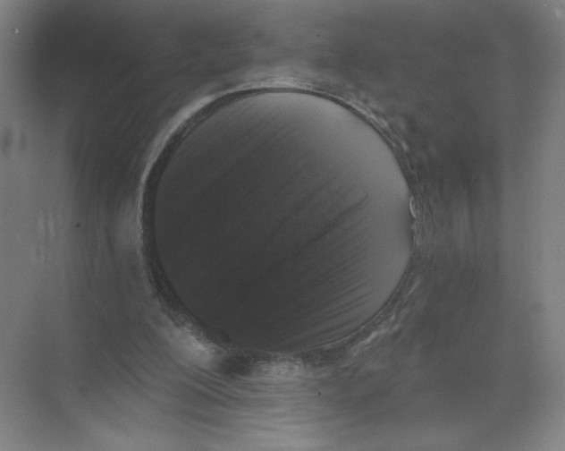 X0000074260200200609222159