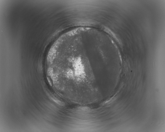 X0000074260203200609222159