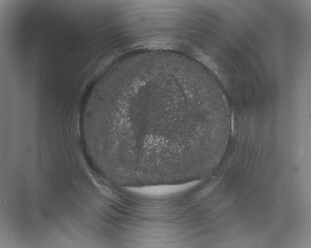 X0000074260205200609222159