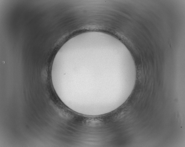 X0000074260208200609222159