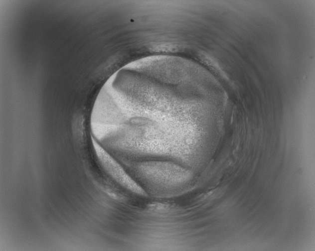 X0000074260211200609222159