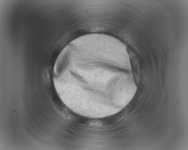 X0000074260214200609222159