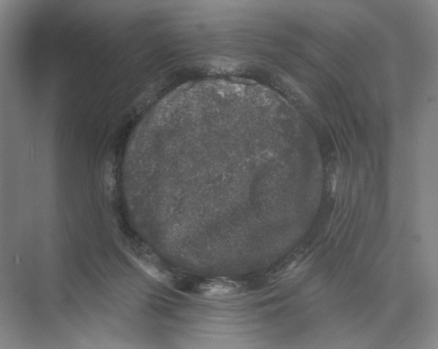 X0000074260215200609222159