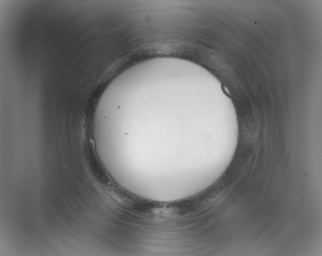 X0000074260216200609222159