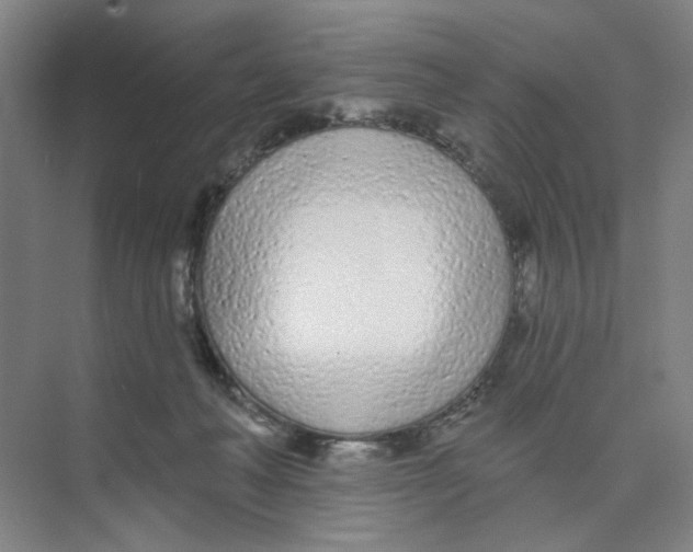 X0000074260222200609222159