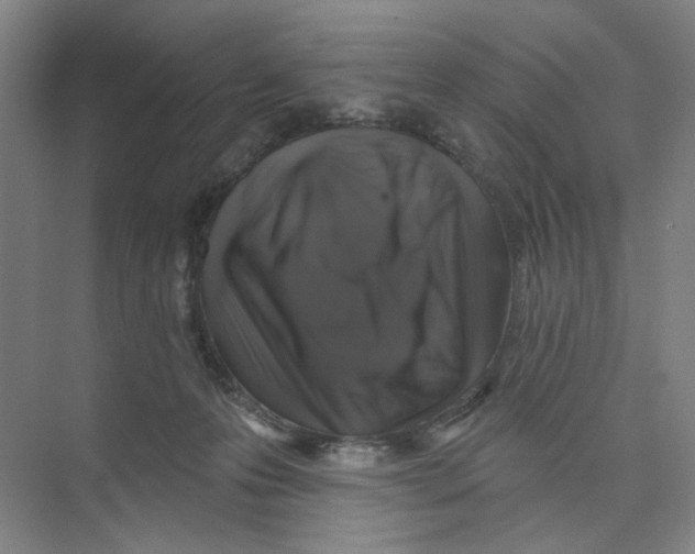 X0000074260223200609222159