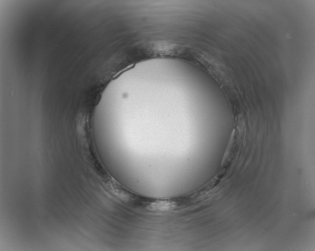 X0000074260225200609222159