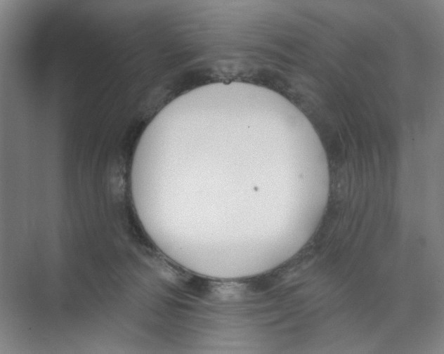 X0000074260226200609222159