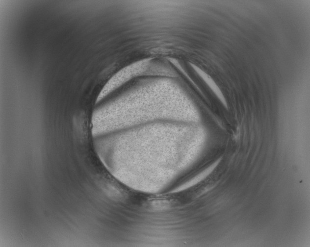 X0000074260228200609222159