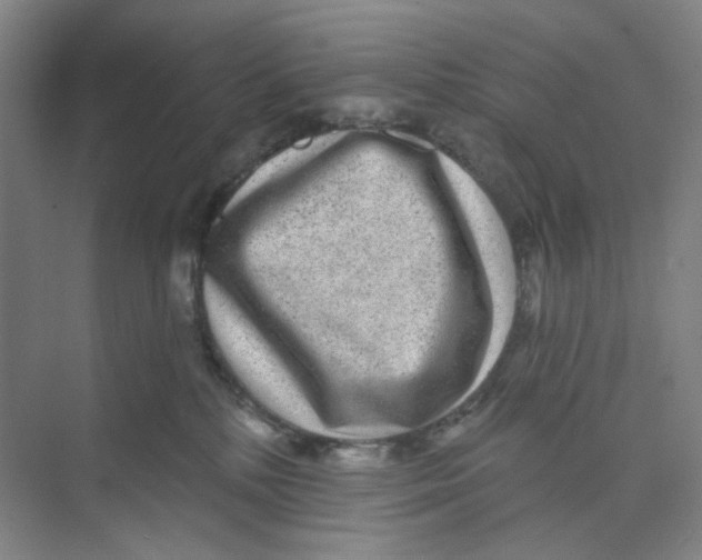 X0000074260232200609222159