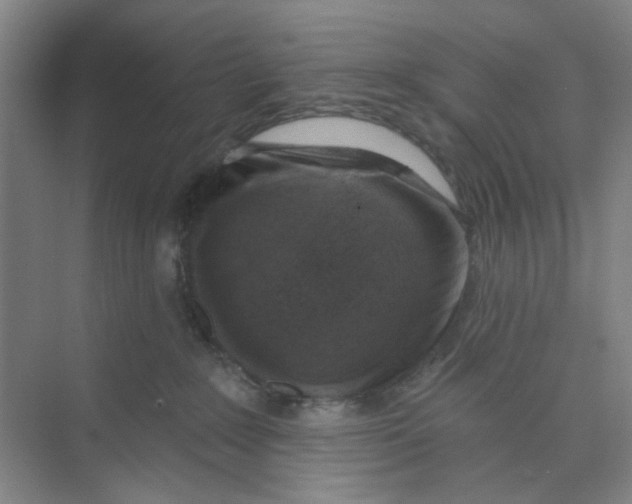 X0000074260235200609222159