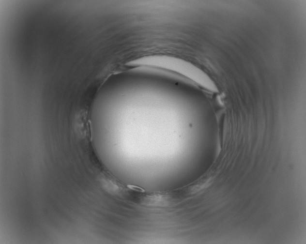 X0000074260237200609222159