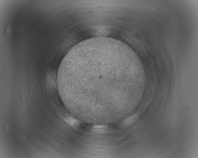 X0000074260240200609222159