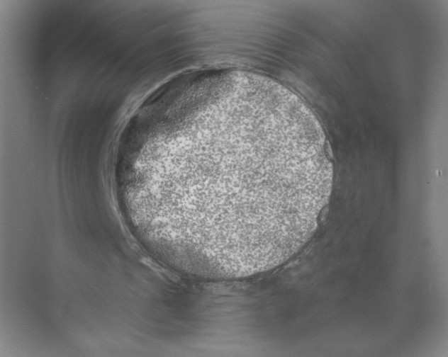 X0000074260241200609222158