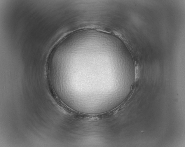 X0000074260243200609222158