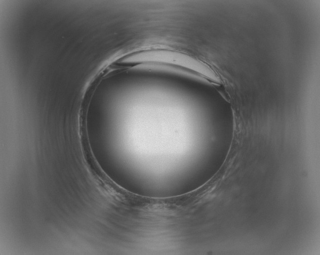 X0000074260244200609222158