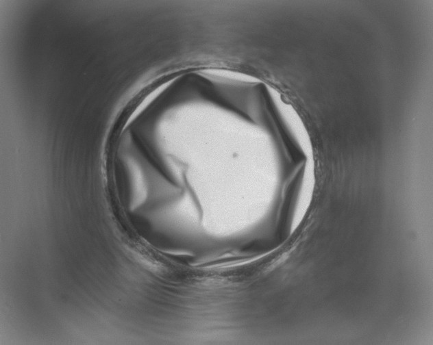 X0000074260246200609222158