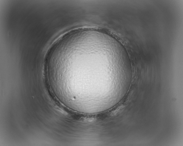 X0000074260247200609222158