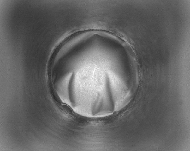 X0000074260248200609222158