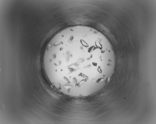 X0000074260250200609222158