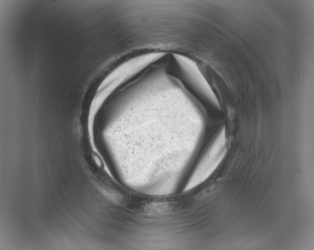 X0000074260252200609222158