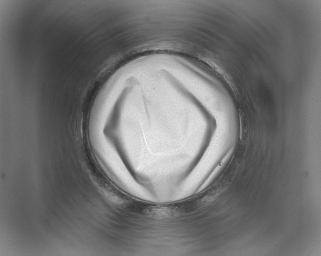 X0000074260253200609222158