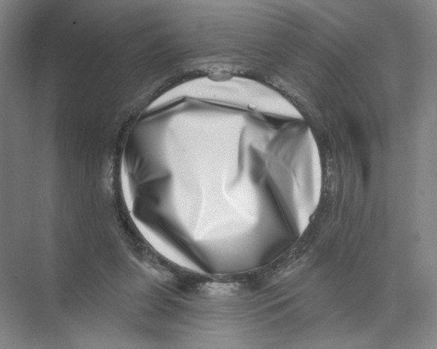 X0000074260255200609222158