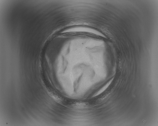 X0000074260256200609222158