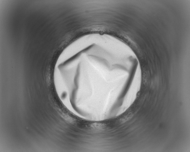 X0000074260261200609222158