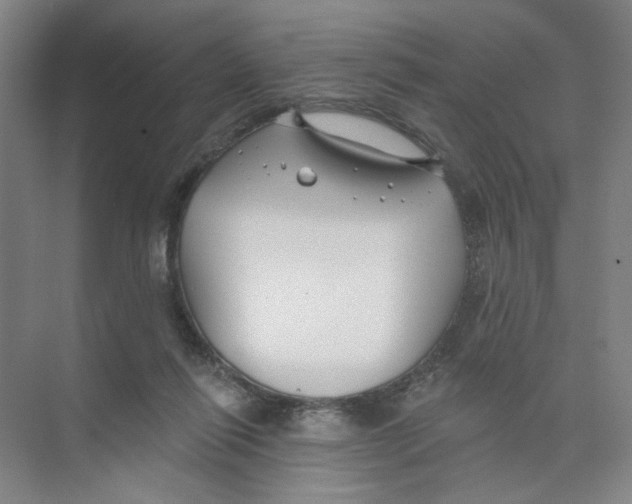 X0000074260262200609222158