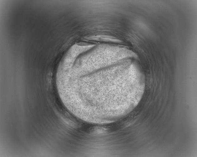 X0000074260263200609222158