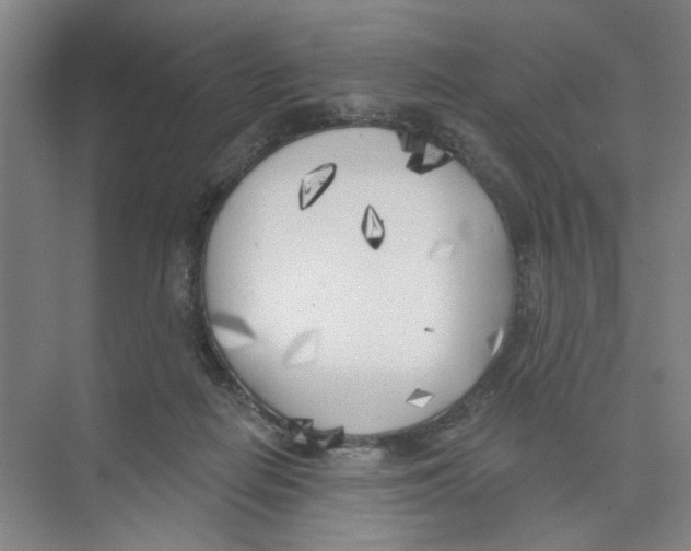 X0000074260266200609222158