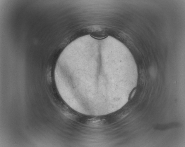 X0000074260267200609222158