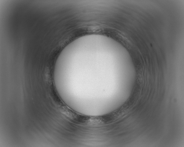 X0000074260270200609222158