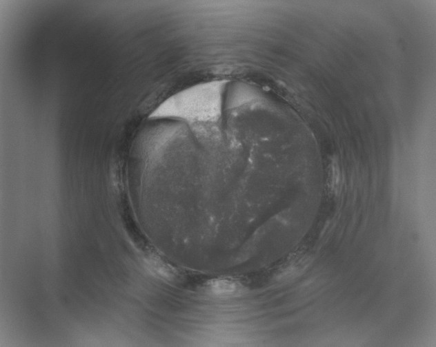 X0000074260272200609222158