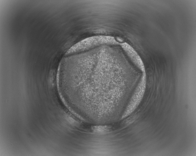 X0000074260273200609222158