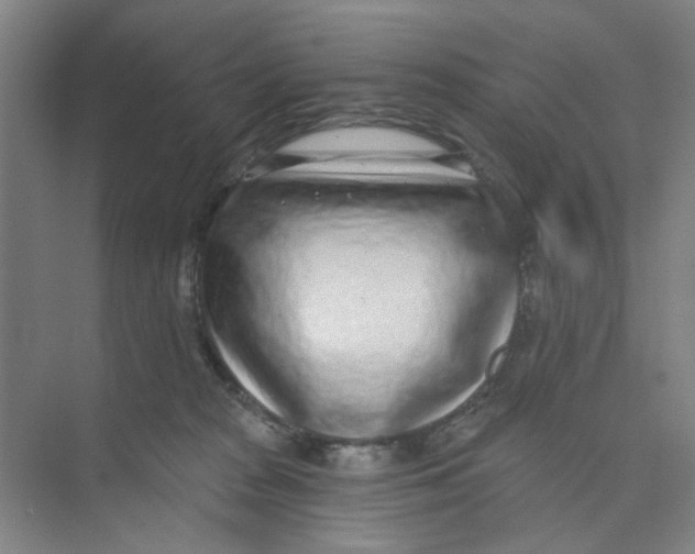 X0000074260277200609222159