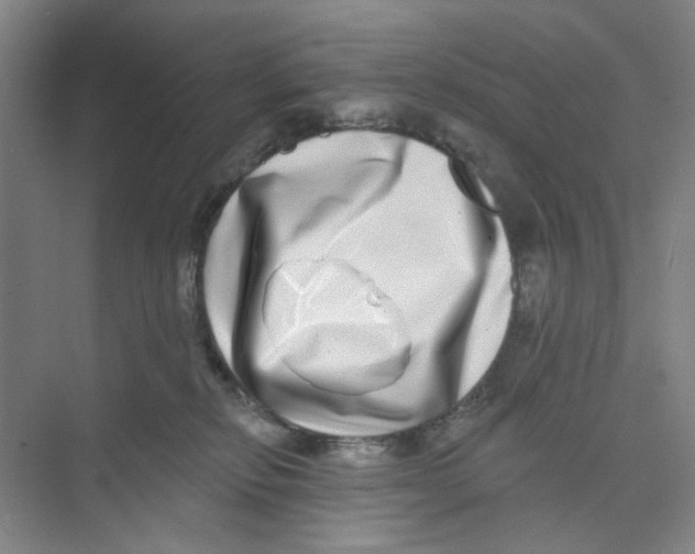 X0000074260278200609222159