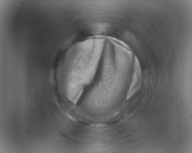 X0000074260280200609222159