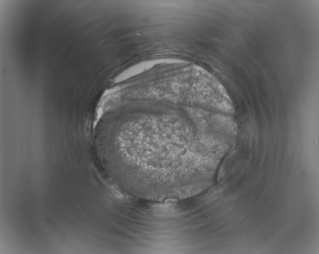 X0000074260281200609222159