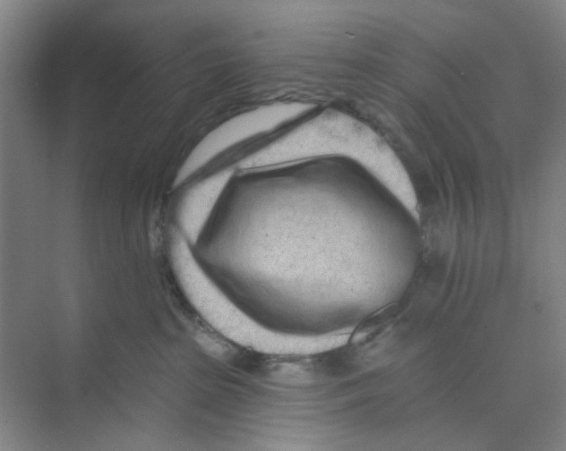 X0000074260285200609222159