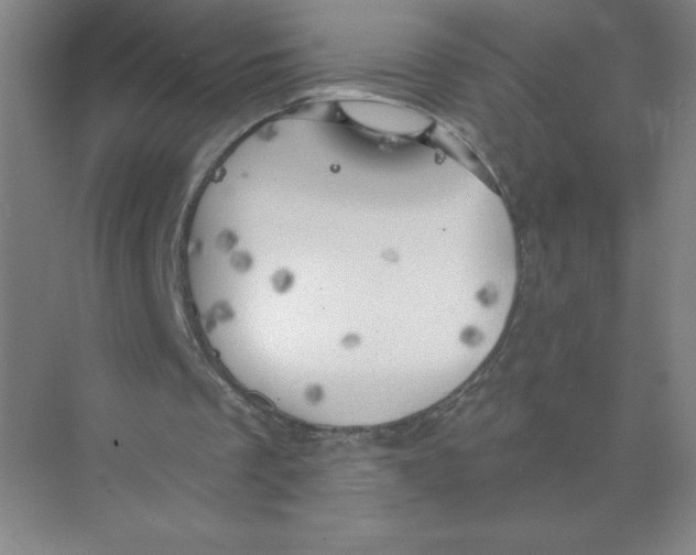 X0000074260289200609222158