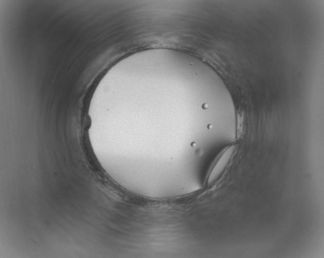 X0000074260291200609222158