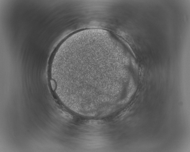 X0000074260292200609222158