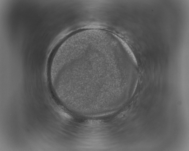 X0000074260296200609222158